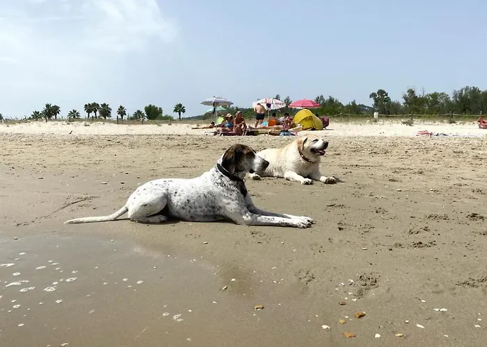 Studio_suite05 * Alba Adriatica